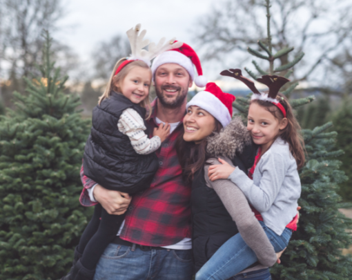 Christmas Tree Farm